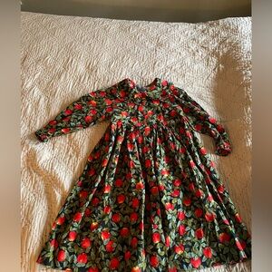 Adorable Girl’s Button Up Apple Dress